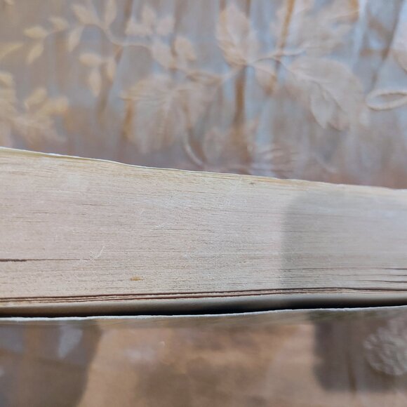 Something Shady by Pamela Morsi, Paperback, Used - Picture 13 of 13